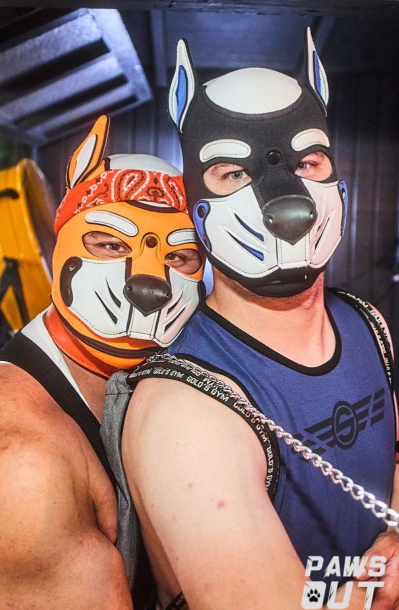 Was such a great time meeting this one last summer 🖤 🧡  💙 <a href="/CanineConCarne/">CanineConCarne</a>