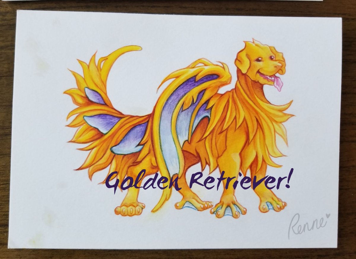 RennePom's tweet photo. Dog Breeds as Dragons! Been working on this idea on and off the last few months and am finally getting around to trying it out - excited for it so far!

#art #dog #golden #lab #labrador #retriever #dragon #medival #rennaisance https://t.co/uWWLXKXpOR