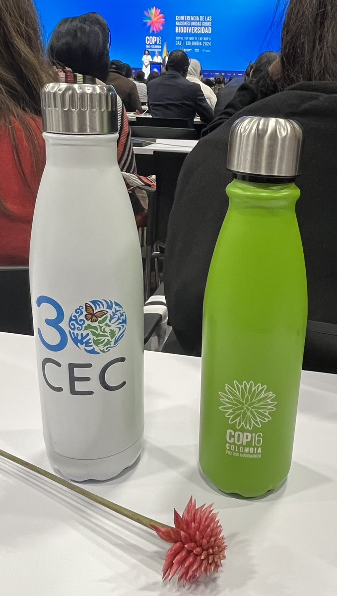 geofarrill's tweet photo. Excited to be in @UNBiodiversity #COP16Colombia #PeaceWithNature @CECweb https://t.co/sNFGwdJNPO