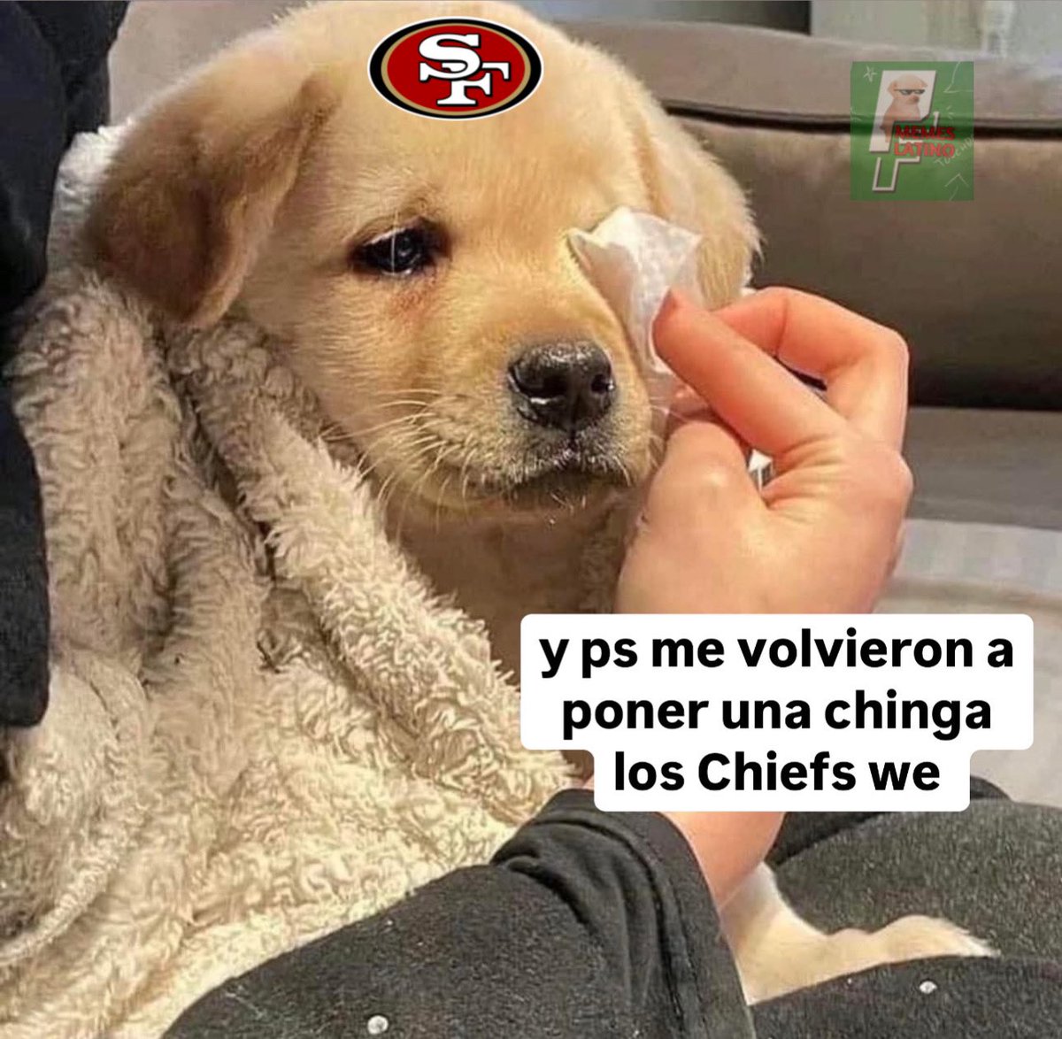 Piloto Memes Latino (@pilotomemeslat) on Twitter photo 