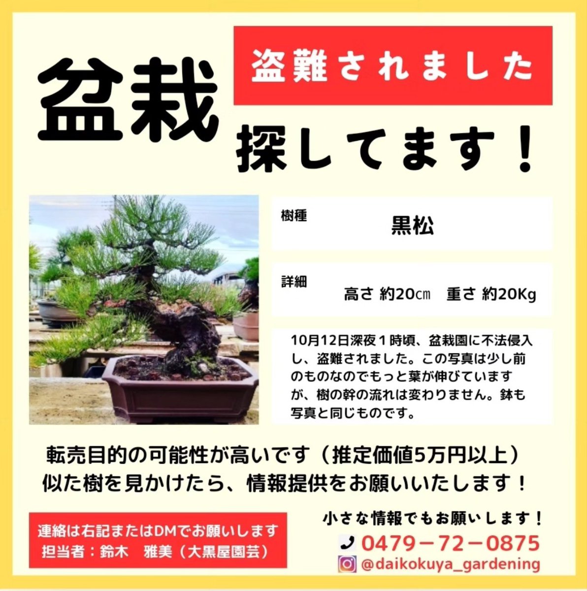 bonsaiyanoyome's tweet photo. 先日、大切な樹が盗難にあいました。

写真で特定するのは難しいとは思いますが、、。どんな情報でも構いません。少しでも、おや？と思ったら、情報を頂けますと幸いです！ https://t.co/Jg9v38kDCT