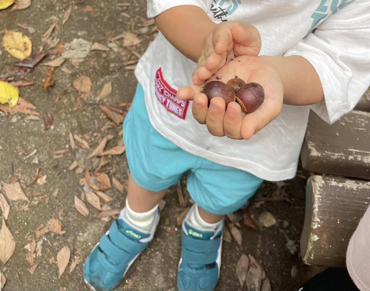 プニプニの手、その小さい手で必死にどんぐりを拾う秋🍂。こういうのが子育ての尊さ。