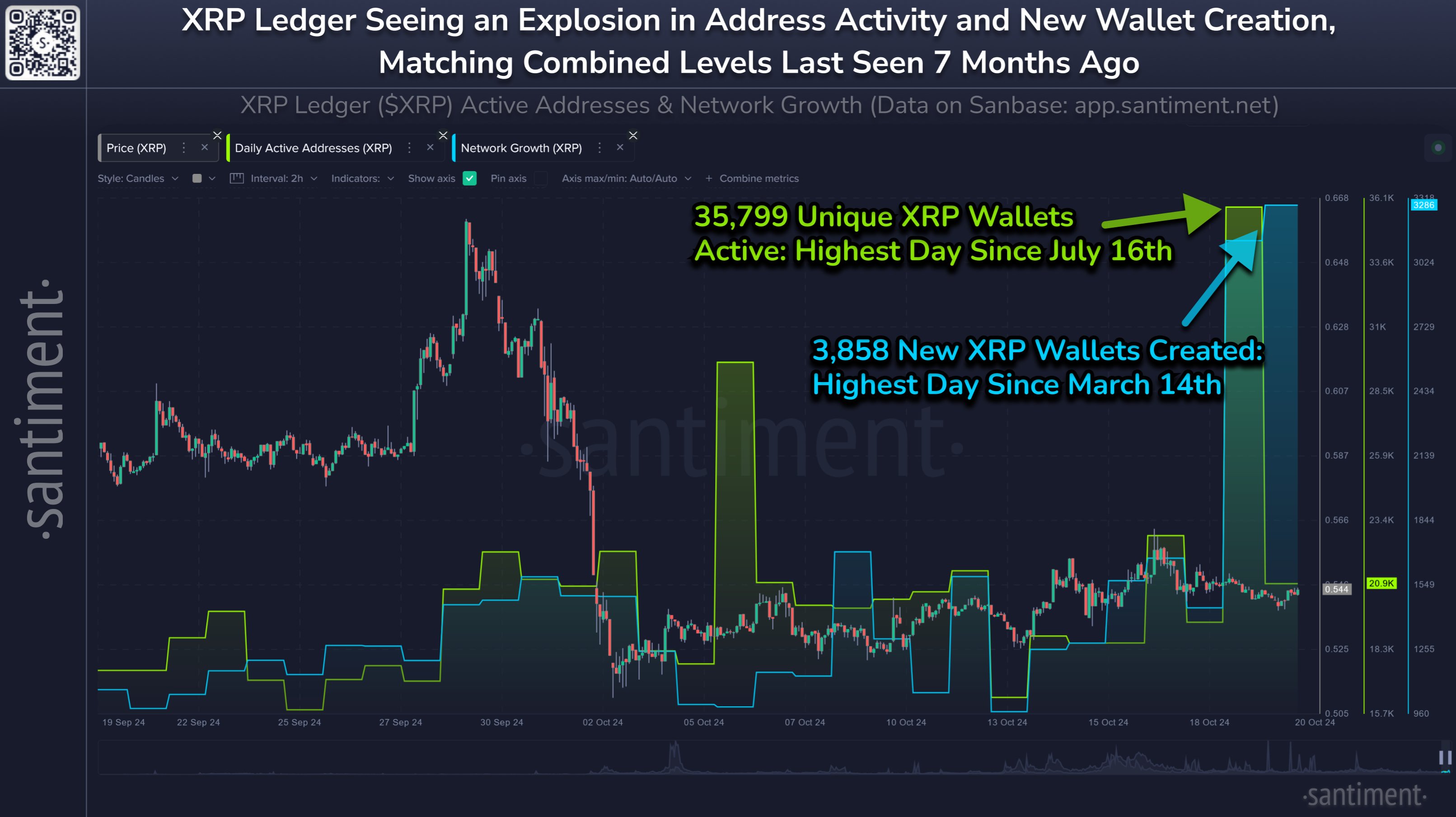 XRP Active Addresses & Network Growth
