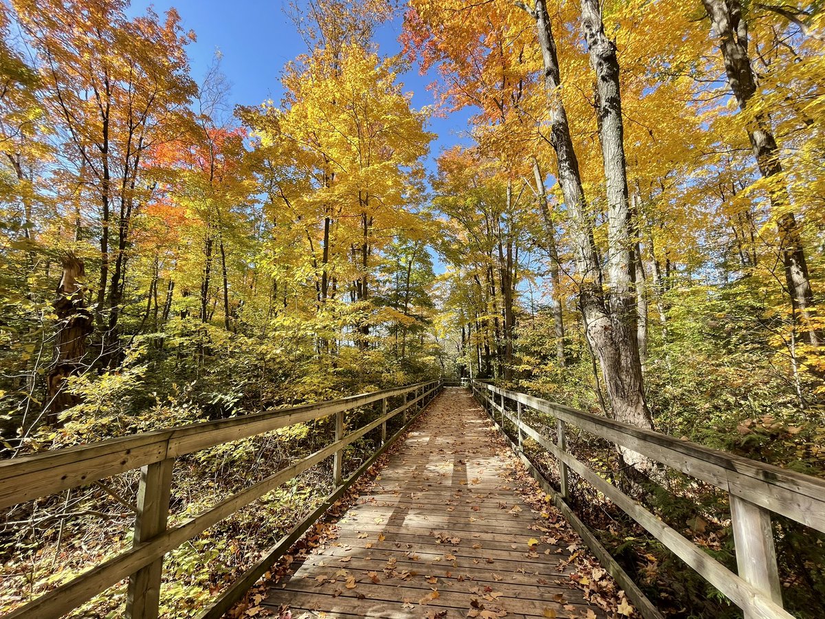 Squishmallow20's tweet photo. I love fall in Ontario. We decided to do a hike today… ended up being an 8k hike with 11,719 steps put in.
#fallinontario #fall #Ontario https://t.co/PQ47ywQqpc