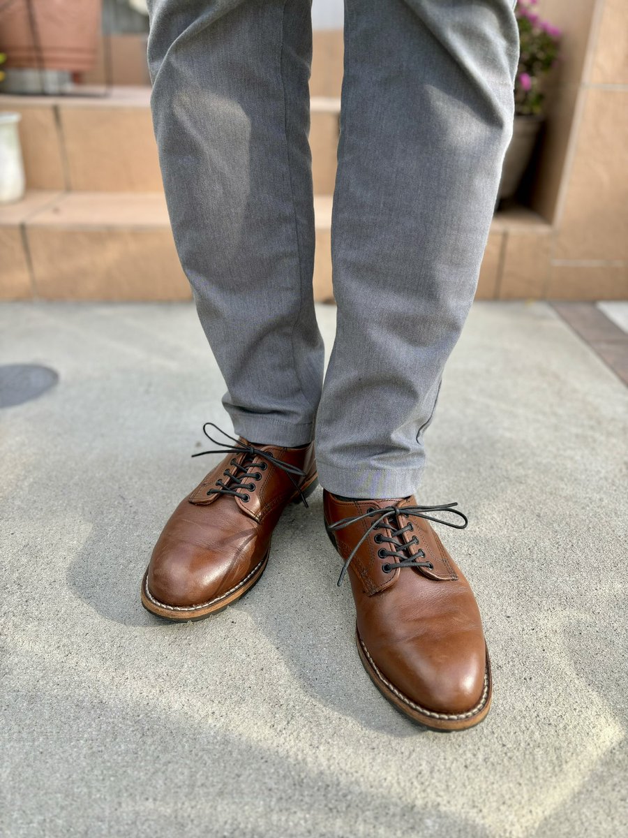 toshi8211_tw's tweet photo. #今日の靴 #着用記録
チークフェザーストーンのベックマンオックスフォード9046👞

今朝は寒かったけど、やっと好きな季節になりました😊

#レッドウィング #redwing #9046 #Beckman #Oxford #RoundToe #靴 #足元 https://t.co/sr9uKxTAso