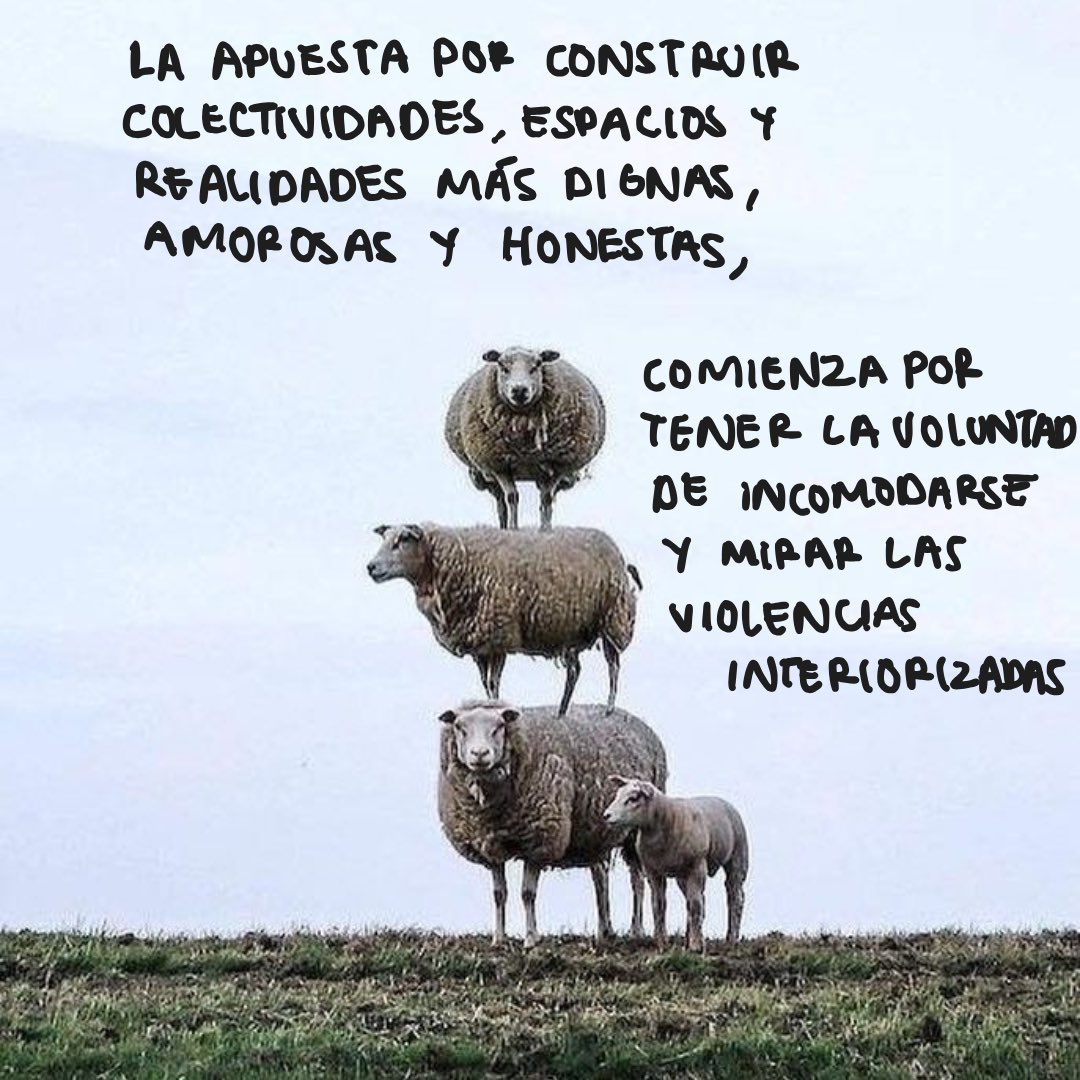 Comadre.ando tweet media