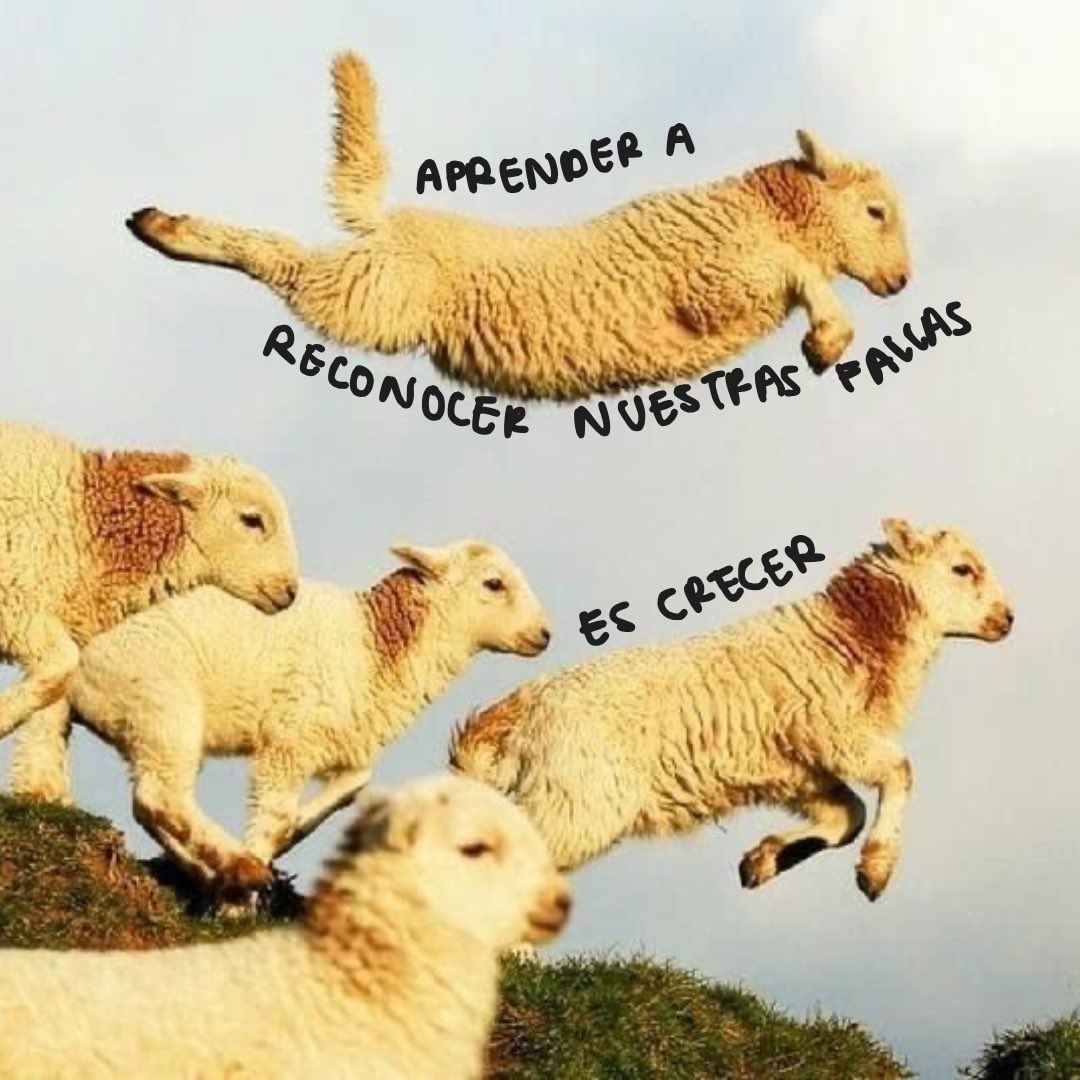 Comadre.ando tweet media