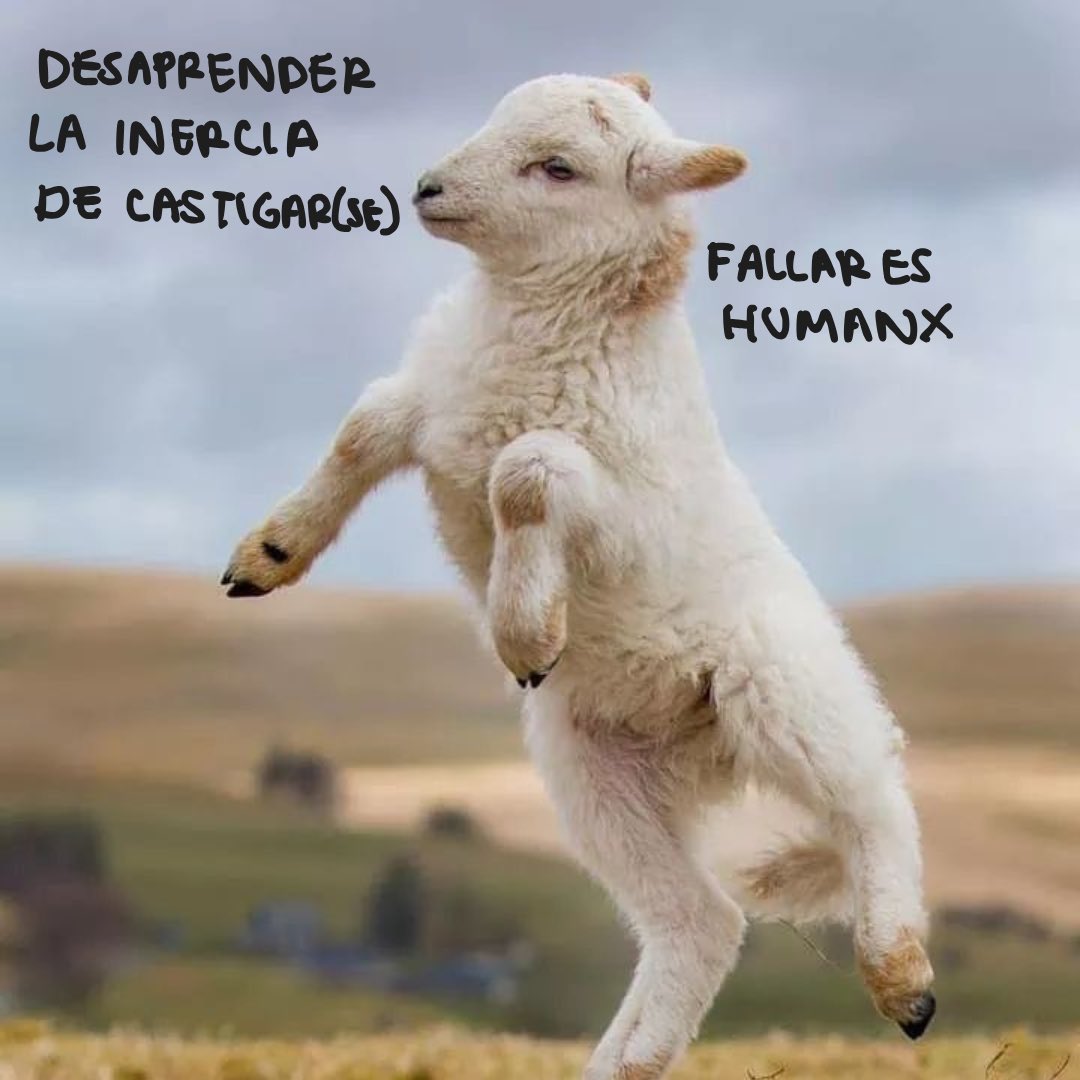 Comadre.ando tweet media