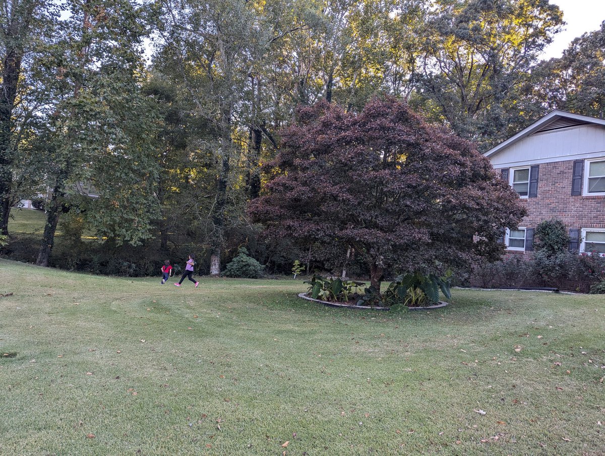 LauraLeeSEO's tweet image. 3 conferences in 3 weeks! 
Spoke at b2b conference in ATL
Spoke at hospitality+SEO meeting in Gvl
Attended #techseoconnect in Raleigh 
+ Whirlwind trip to ATL for family visit / hockey game 
This week is our 15th wedding anniversary! 
Time is flying.