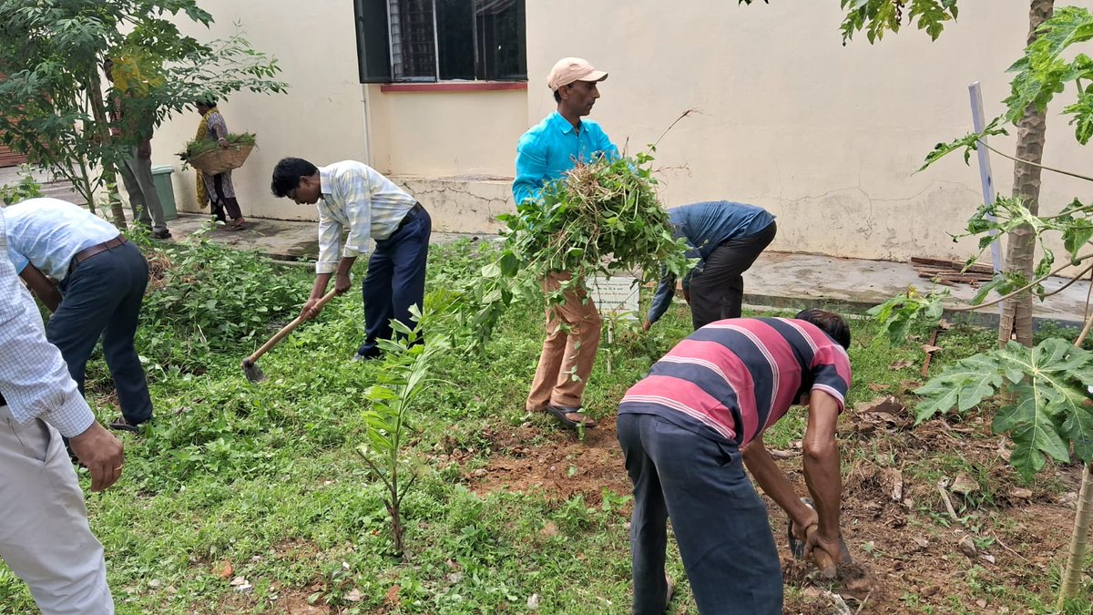 ddtripura's tweet photo. Engineering Staff  of DDK, Agartala participated  in Swachhata Abhiyan by cutting of wild growth and cleaning work in and around tower on 19.10.2024 under #SpecialCampaign4 https://t.co/74IYfDFvMg
