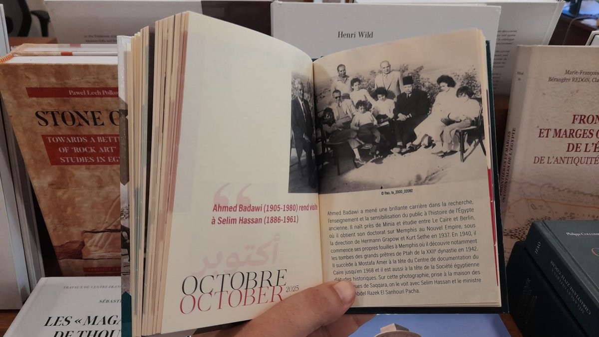 Fatma Keshk tweet media