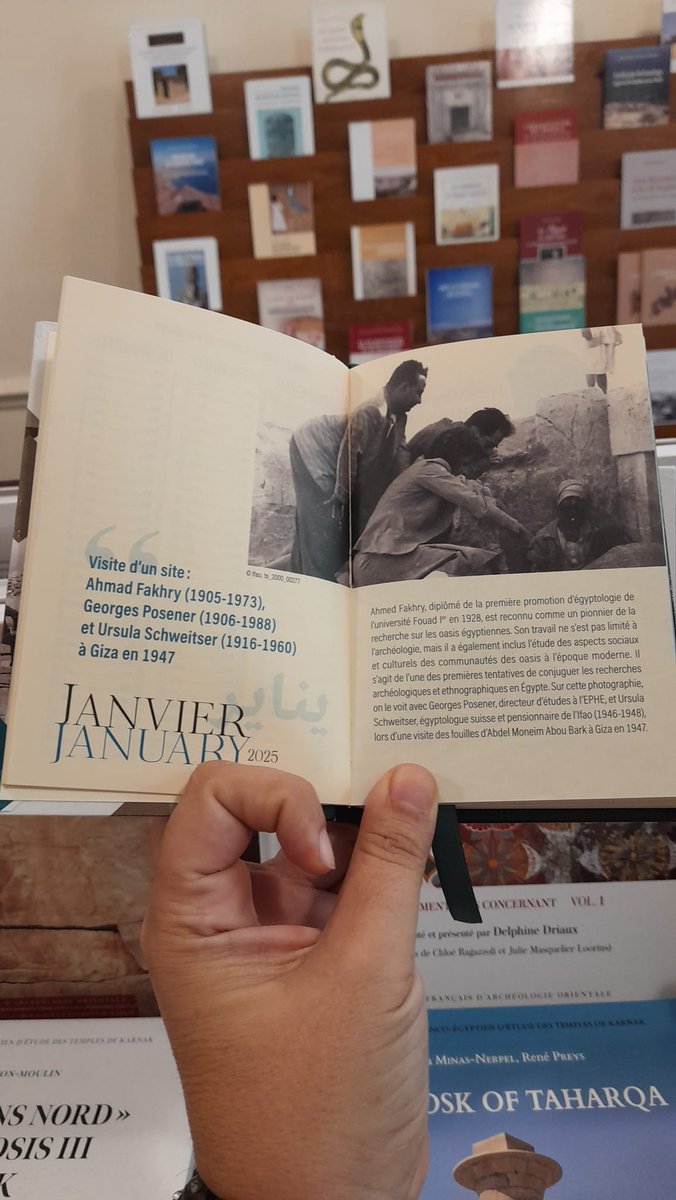 Fatma Keshk tweet media