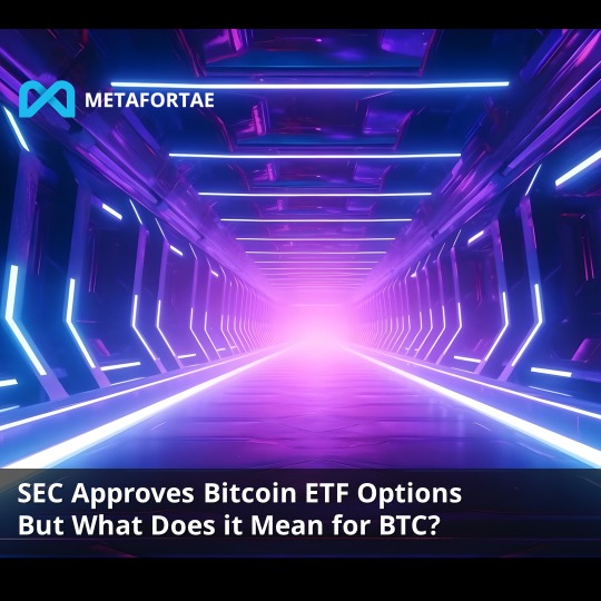 Metafortae_io's tweet photo. The SEC has approved 11 ETFs to list options on spot Bitcoin prices. NYSE will now be able to offer options on Grayscale Bitcoin Trust (GBTC), Grayscale Bitcoin Mini Trust (BTC), and Bitwise Bitcoin ETF (BITB) https://t.co/VKCa4C6zNG