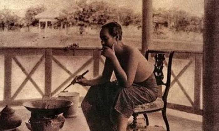 Ordinaryfern (@fernnnfernnfern) on Twitter photo 