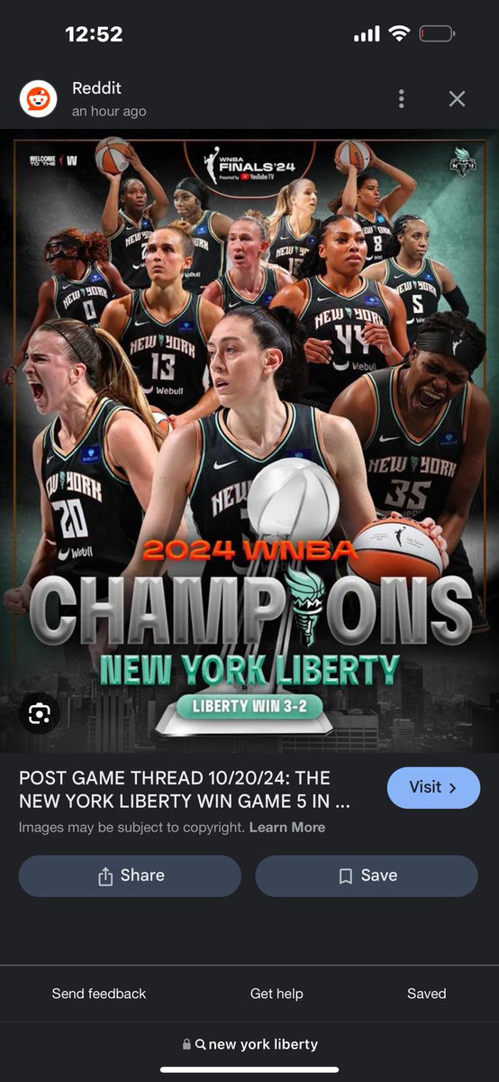 nochillwill15's tweet photo. Shout out to the @nyliberty one of my favorite play off finals Well deserve THIS WHY I LOVE THE W AND ALWAYS SUPPORT ALL WOMEN BASKETBALL!!! https://t.co/YYiF3dvlPj