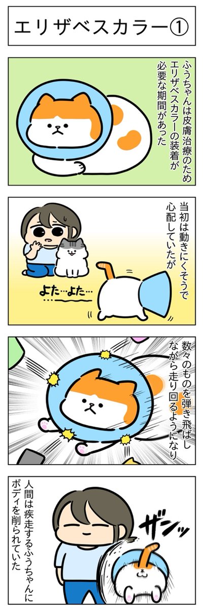 エリザベスカラー①②│フェリシモ猫部 https://t.co/TW3sL21Xzw 