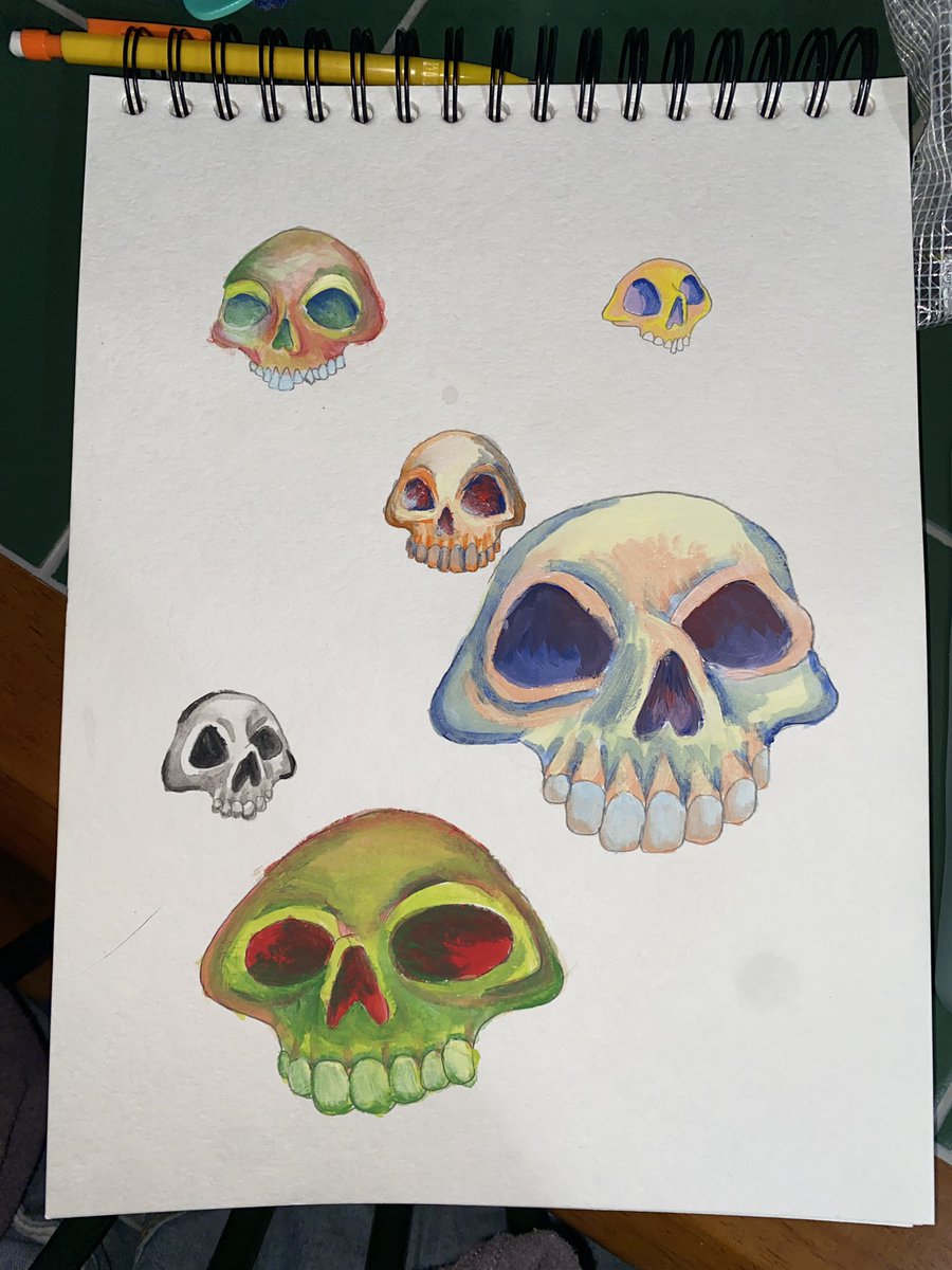 thenoodle_dood's tweet photo. Skull study in Gouache https://t.co/8q2FSAvf22