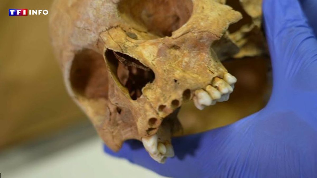 Vidéo 🎥  - Police scientifique : dans ce lieu tenu secret, des médecins légistes font parler les ossements !!🦴 🕵️ 

tf1info.fr/justice-faits-…