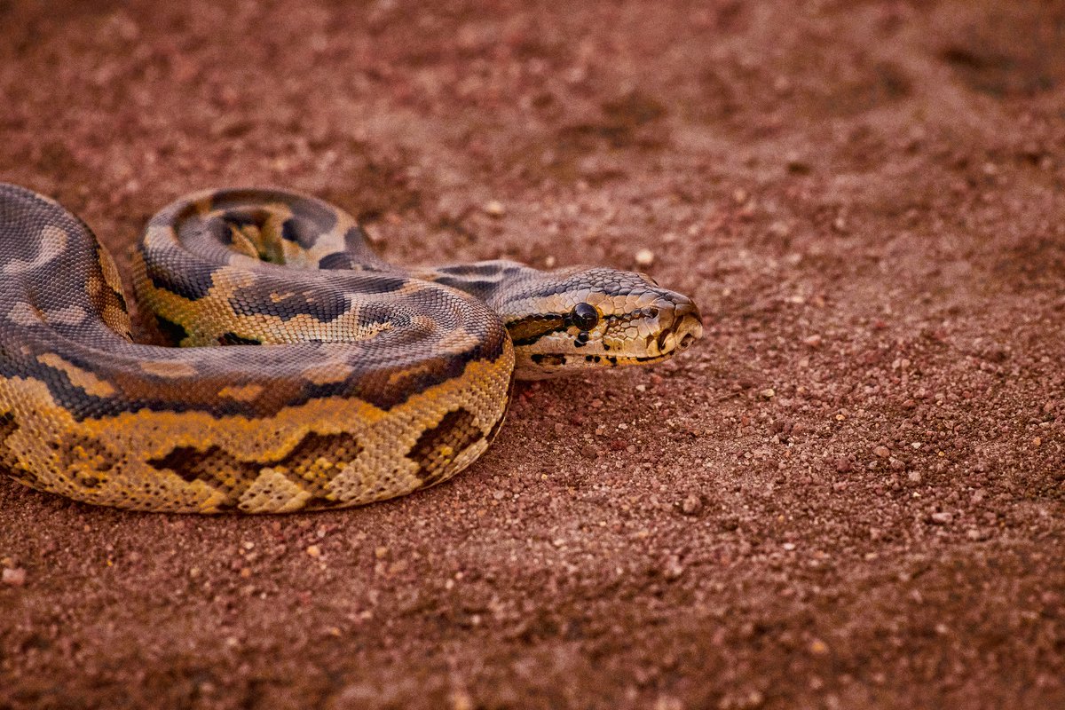 Kamalak Kannan BV tweet media