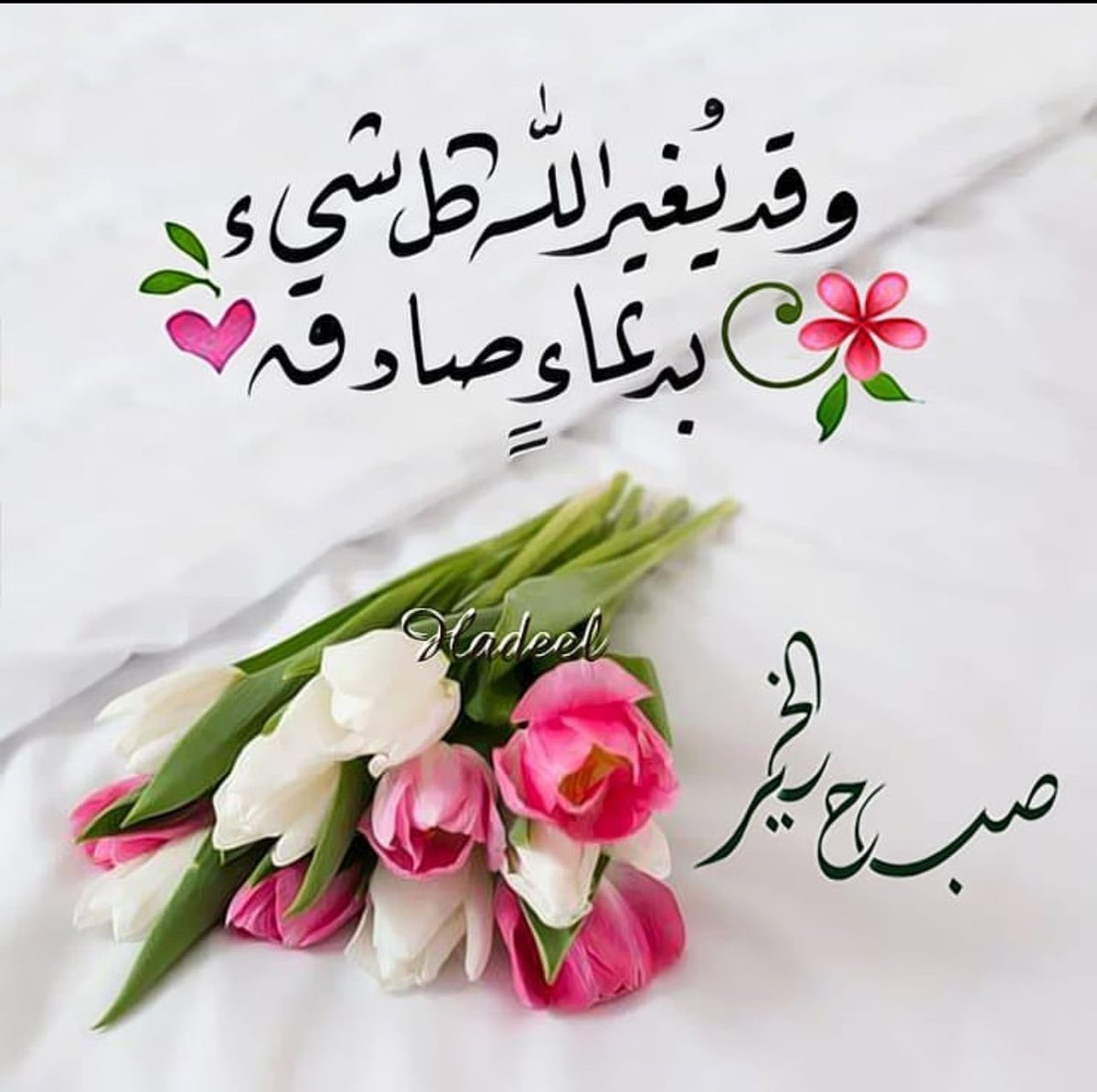 <a href="/hudaaljaser/">د .هدى بنت سعود الجاسر🇰🇼</a>