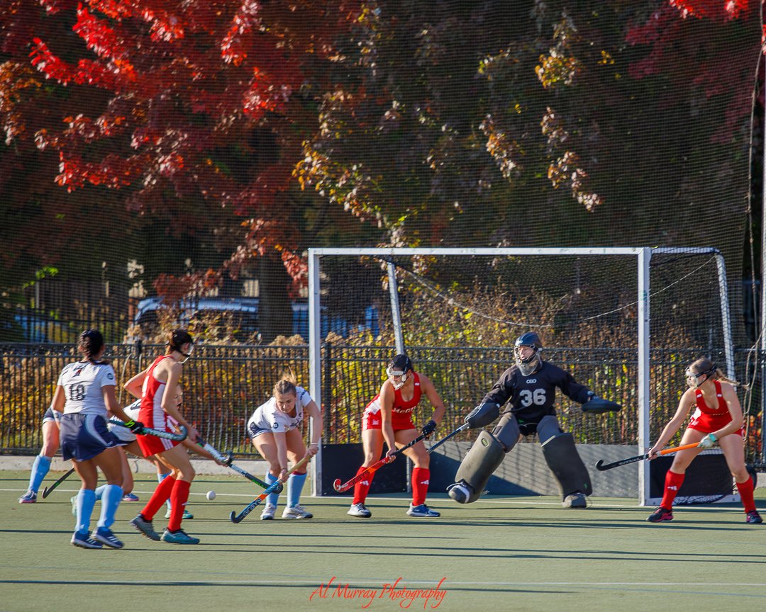 aragorn1957's tweet image. One afternoon, three sports.... Best deal in town for under $15.00.  Toronto on a Budget 101.  OUA rugby, field hockey and basketball
#OUAsports, #universitysports #sports #sportsphotography #toronto #rugby #fieldhockey #womensbasketball