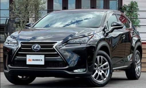 レクサス クルマを見つけて30万円】 レクサスNX 外装:黒 内装:茶色レザーシート