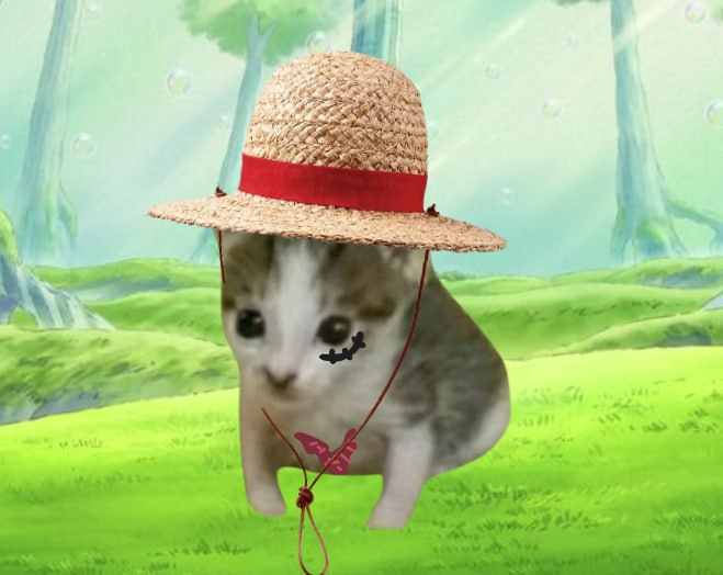 EINGCAT_CTO's tweet photo. @TeTheGamer $EING ? Just spawned in

DknbGnV1coAMAHznQMYuEN7FHeYSmu4E3ZnFnUqUpump https://t.co/90LPNVy2vA