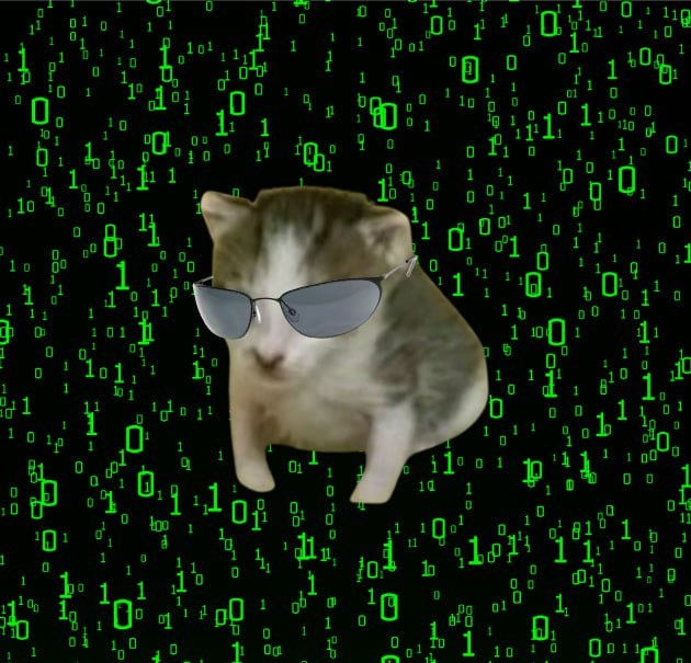 EINGCAT_CTO's tweet photo. @IcedKnife Escaping the matrix now just pawned here

$EING ? https://t.co/CkgLPaVUuA