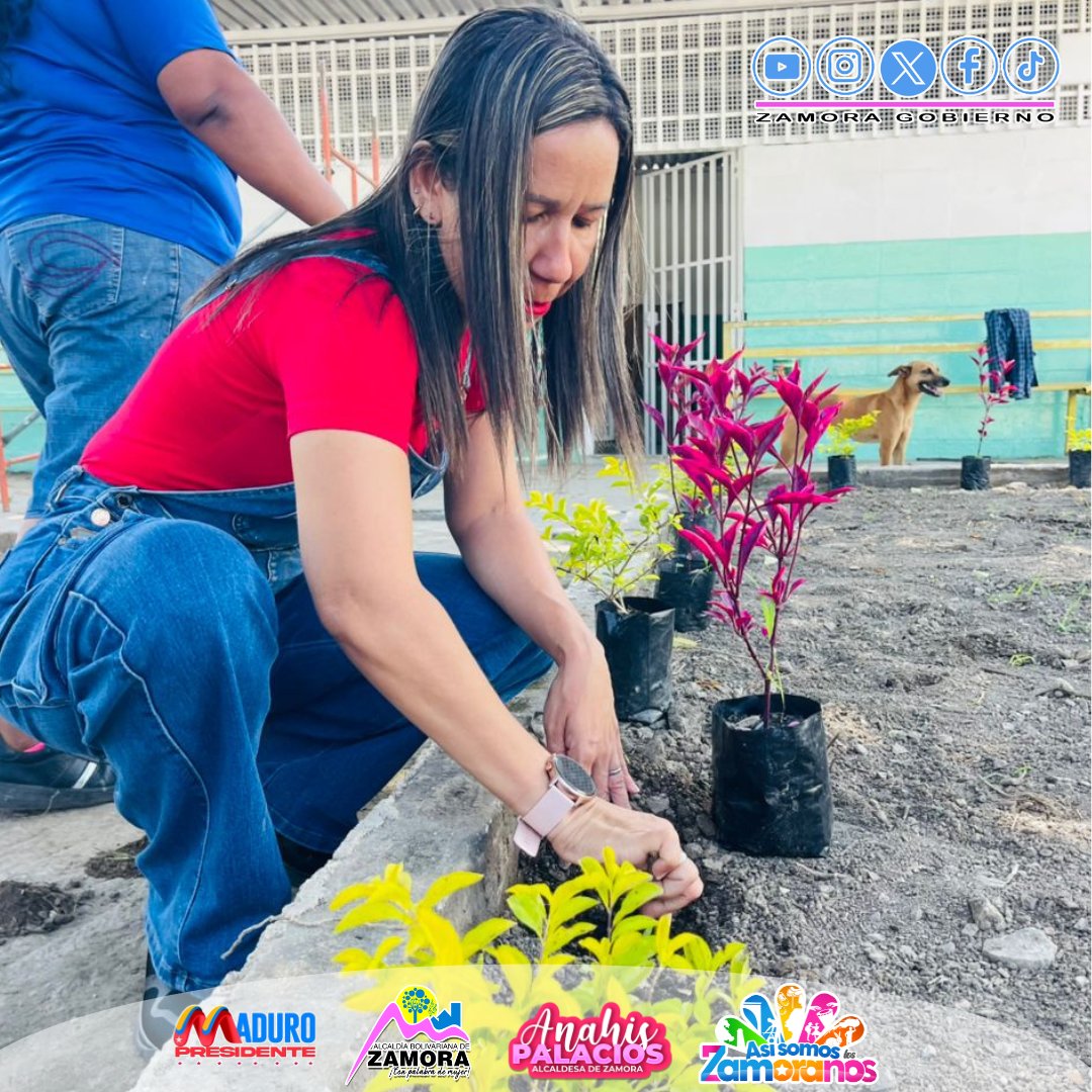 Anahis Palacios tweet media