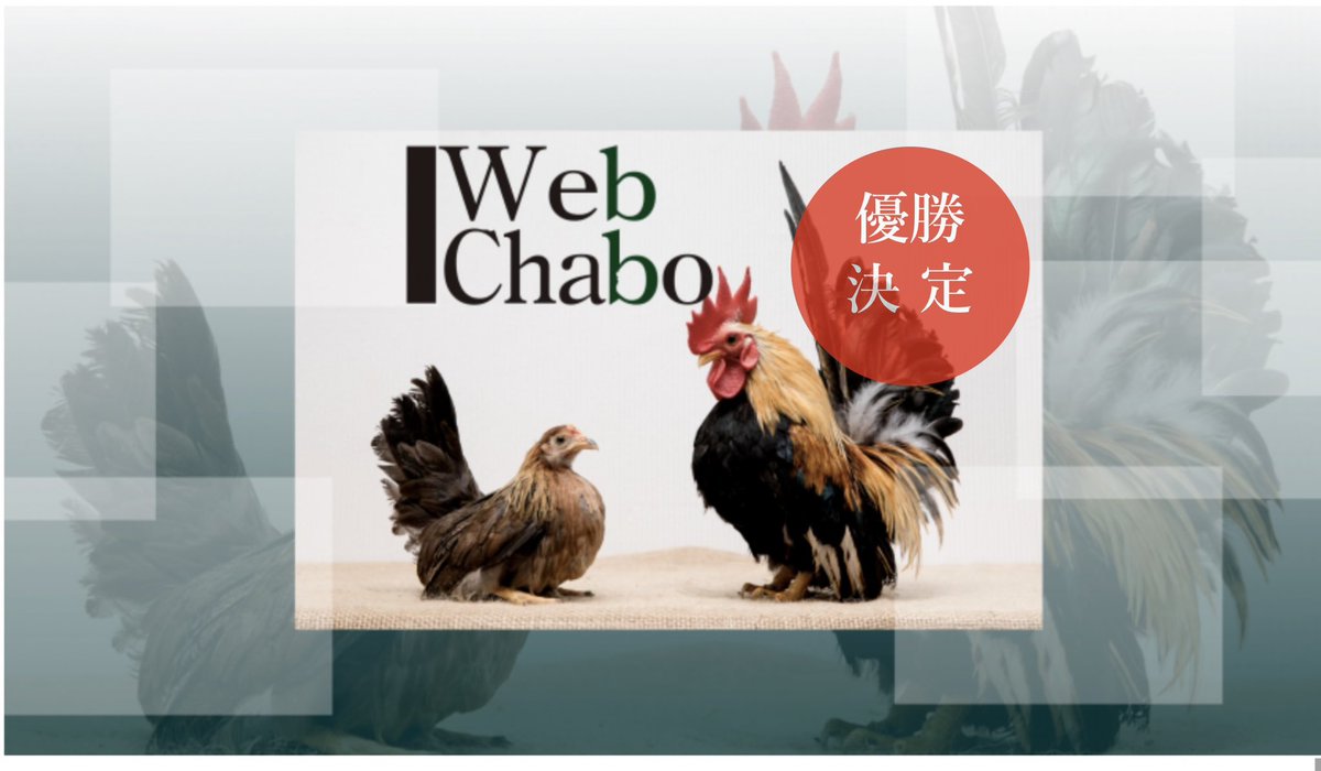 japan_chabo's tweet photo. 2024秋　第3回Webチャボ品評会(公式)
審査発表です！
アイドル部へのご投票ありがとうございました。大仕事を終えた皆様、まずは公式の審査発表をご堪能ください。あなたの予想はどうでしたか？
https://t.co/BnU7RCiyN6 https://t.co/eTgGdysldu