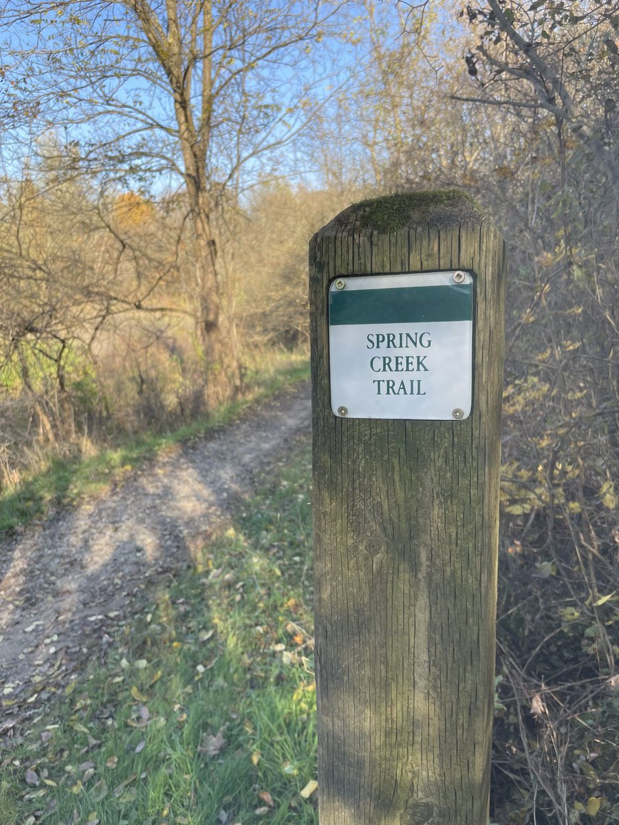 Jennifer Gould tweet media