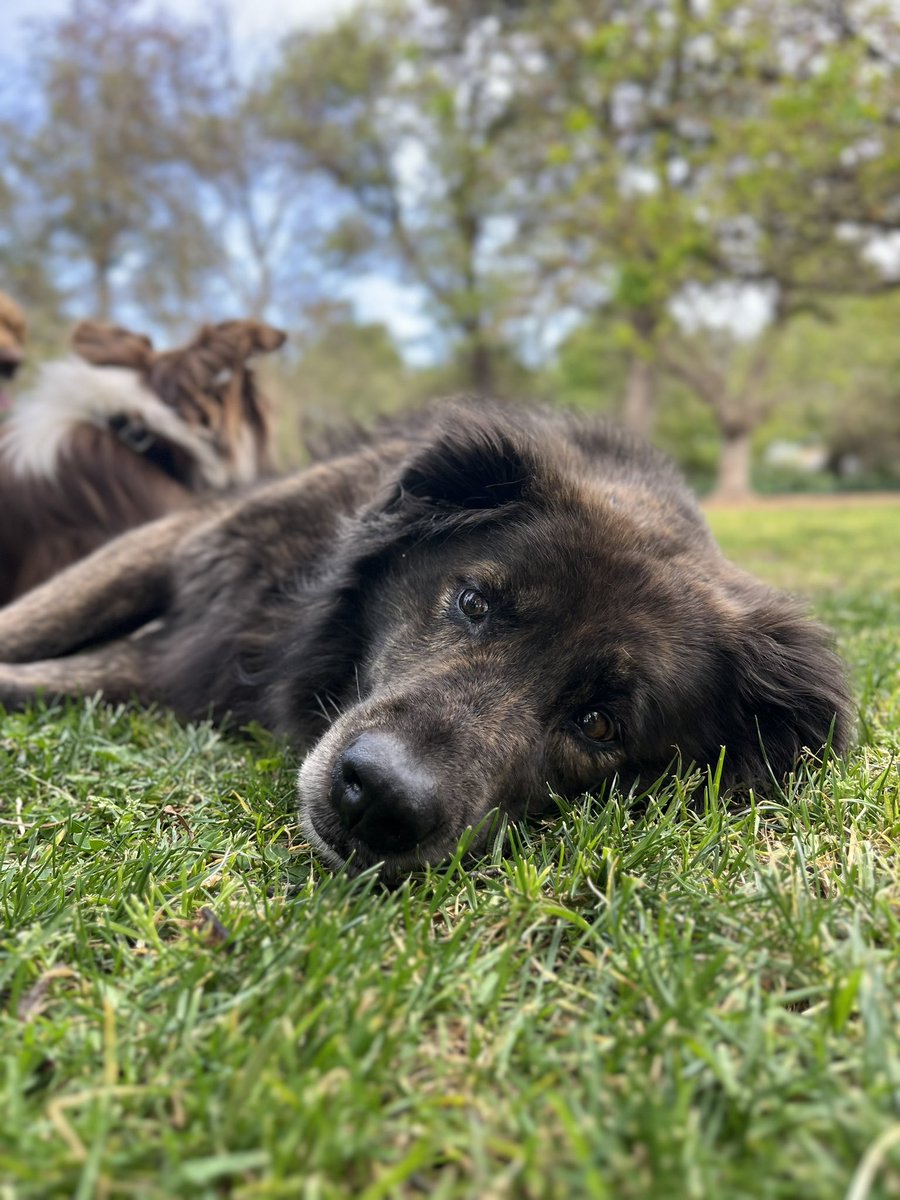 sami peachey 🍑 tweet media