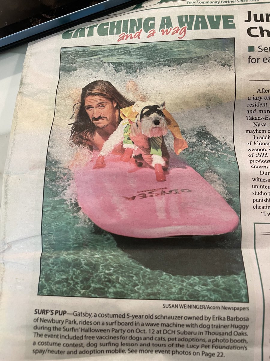 🌈Rocky The Rescue Schnauzer, Riley, Digby 🌈☘️ tweet media