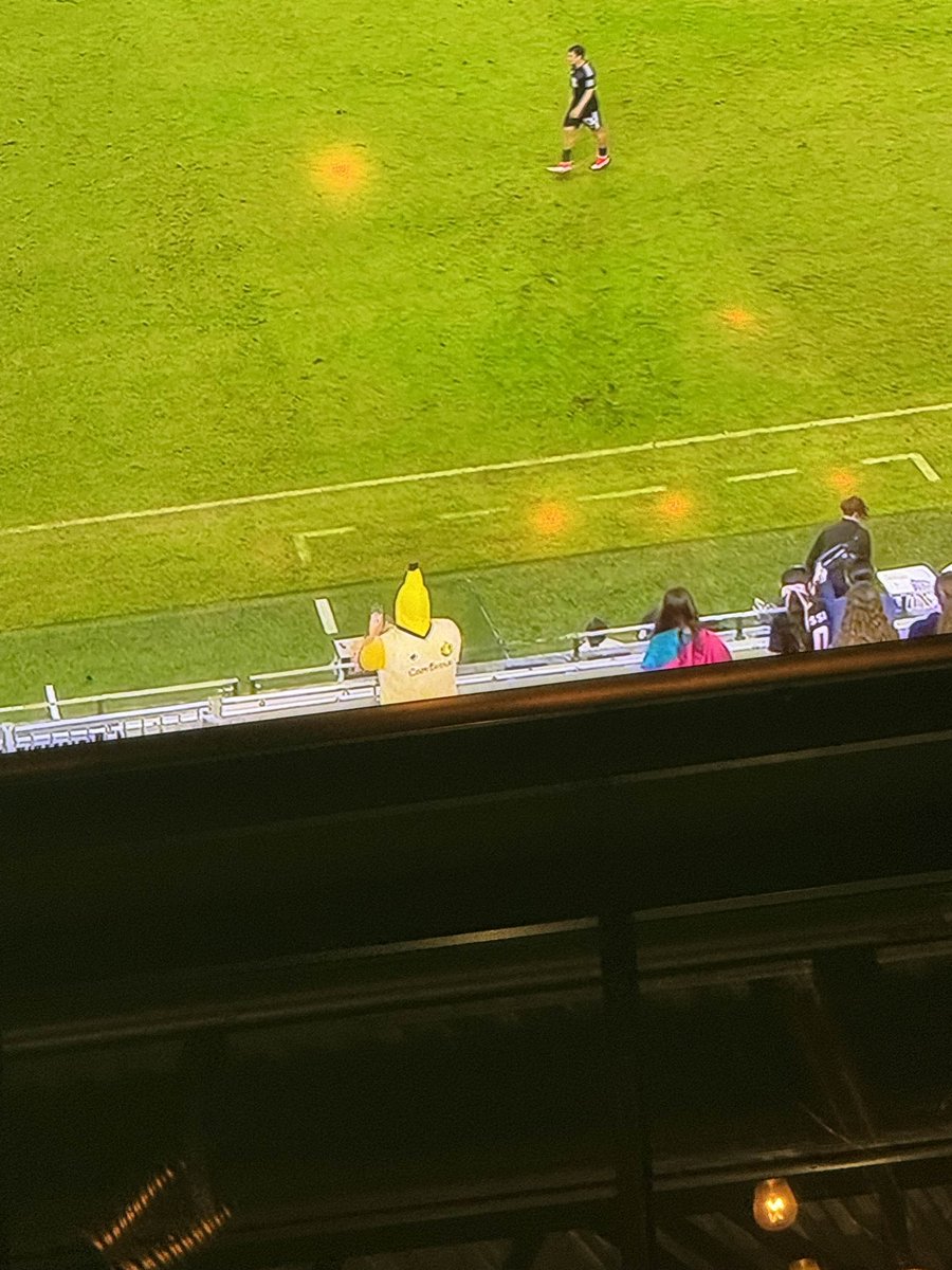 CapyBrava tweet media