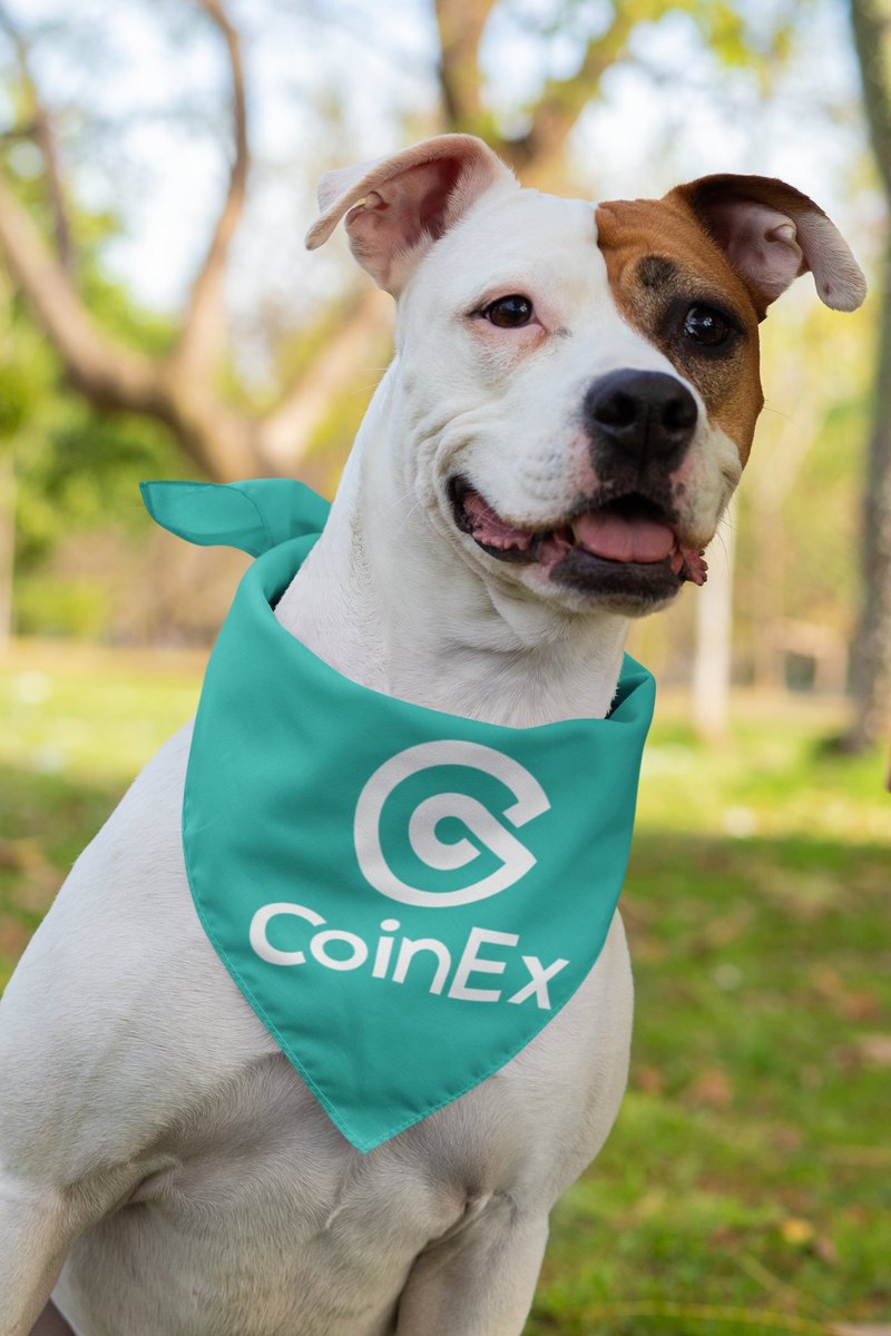 CoinExSeth's tweet photo. Gm #CoinExer!☀️ https://t.co/CIdQHXZyLM
