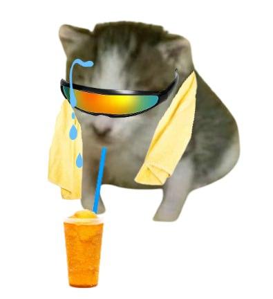 EINGCAT_CTO's tweet photo. @notsoeasymoney $EING ? I just lost my right to live

They keep spawning me everywhere 

DknbGnV1coAMAHznQMYuEN7FHeYSmu4E3ZnFnUqUpump https://t.co/9MvXLPOsVm