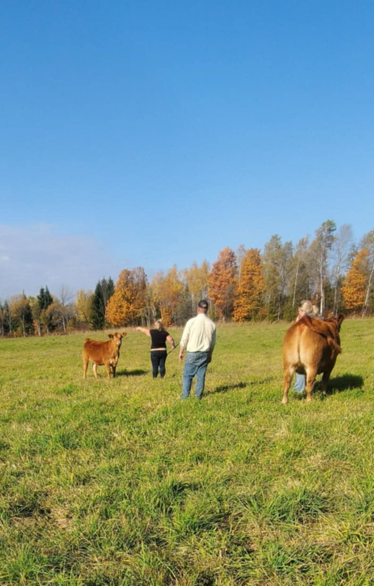 Mary Lynn Lawrence tweet media