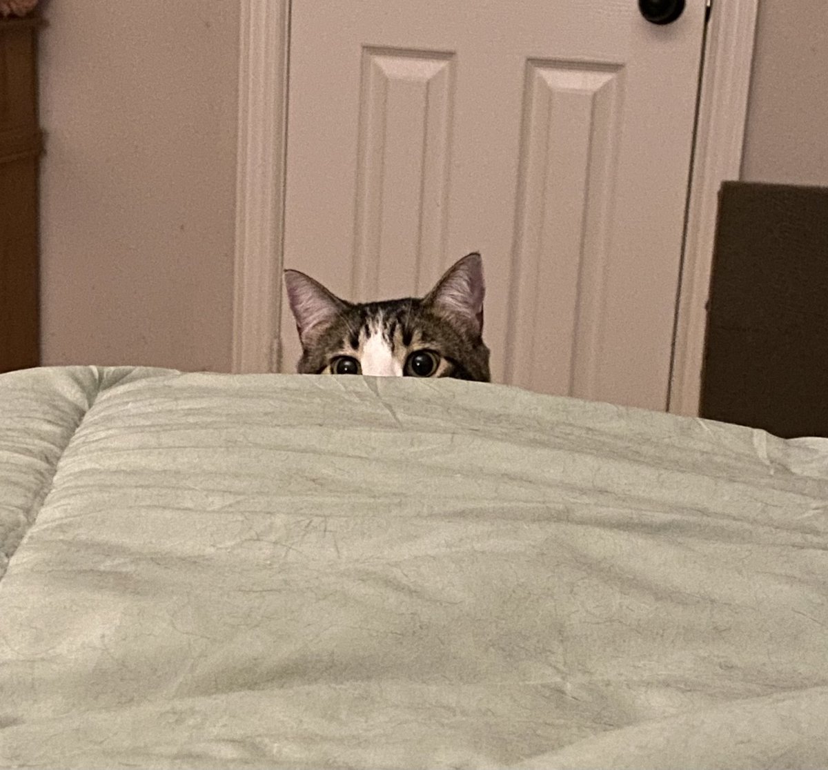Being watched