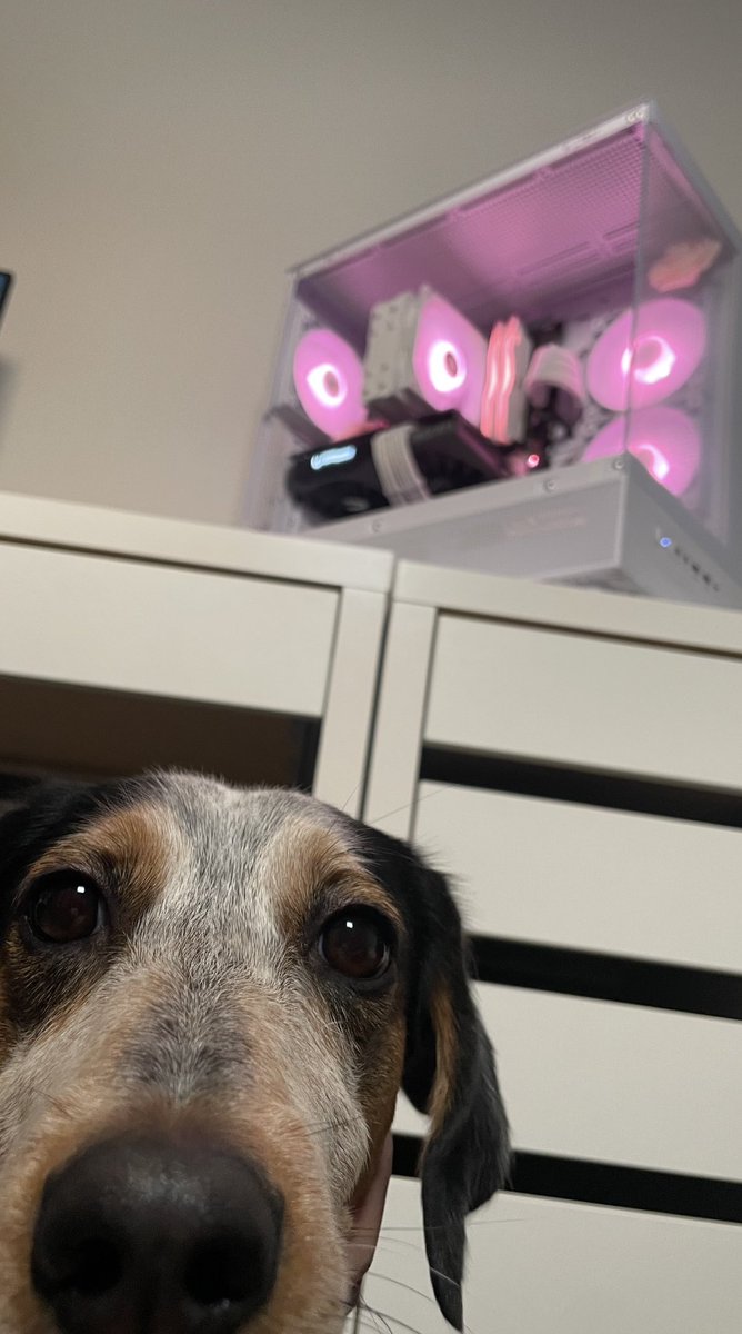 ashxtru's tweet image. 