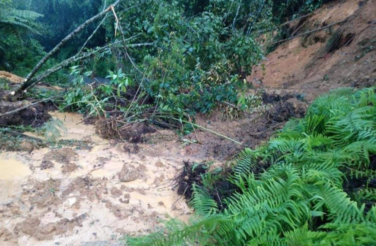 951mx_com's tweet image. Debido a las fuertes precipitaciones, se han producido varios derrumbes en la #SierraMixe.
Se recomienda precaución:
- Zompantle - San Isidro - Caballo Blanco
- Río Ramal
- Yacochi - Metaltepec - Zacatepec
- Cotzocon - Alotepec
- Metepec - Totontepec
- Ocotepec - San Isidro