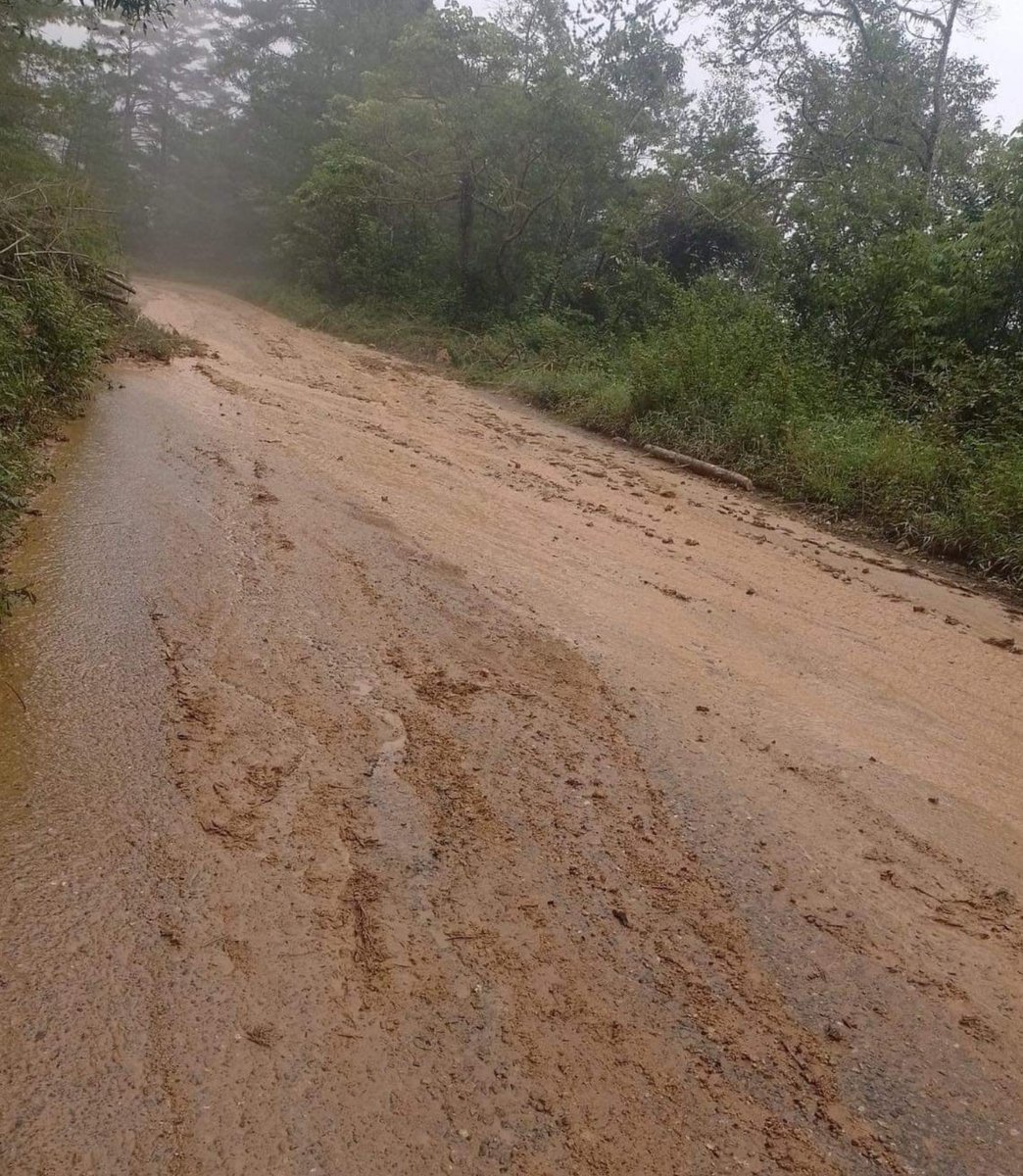 951mx_com's tweet image. Debido a las fuertes precipitaciones, se han producido varios derrumbes en la #SierraMixe.
Se recomienda precaución:
- Zompantle - San Isidro - Caballo Blanco
- Río Ramal
- Yacochi - Metaltepec - Zacatepec
- Cotzocon - Alotepec
- Metepec - Totontepec
- Ocotepec - San Isidro