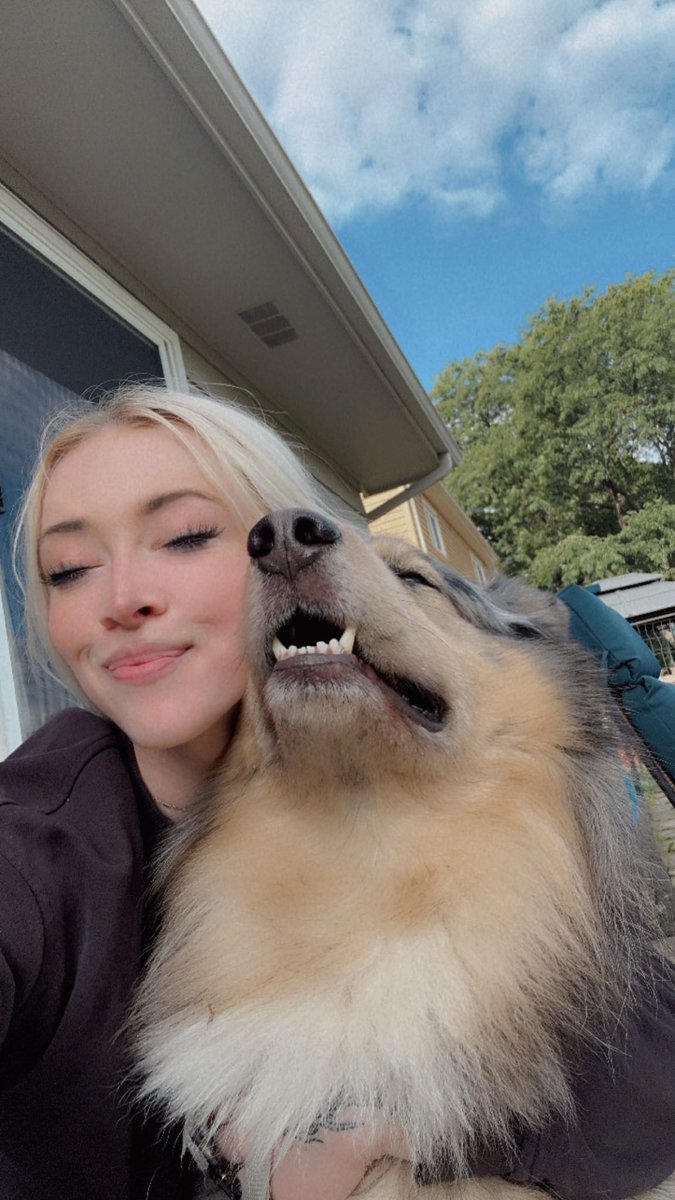 kenaispack's tweet photo. Happy Sunday 🐾🩵
#dogmom https://t.co/vjSfXGKlfI