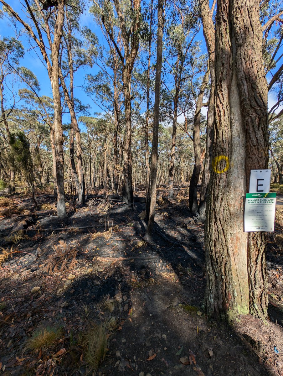 Victorian National Parks Association tweet media