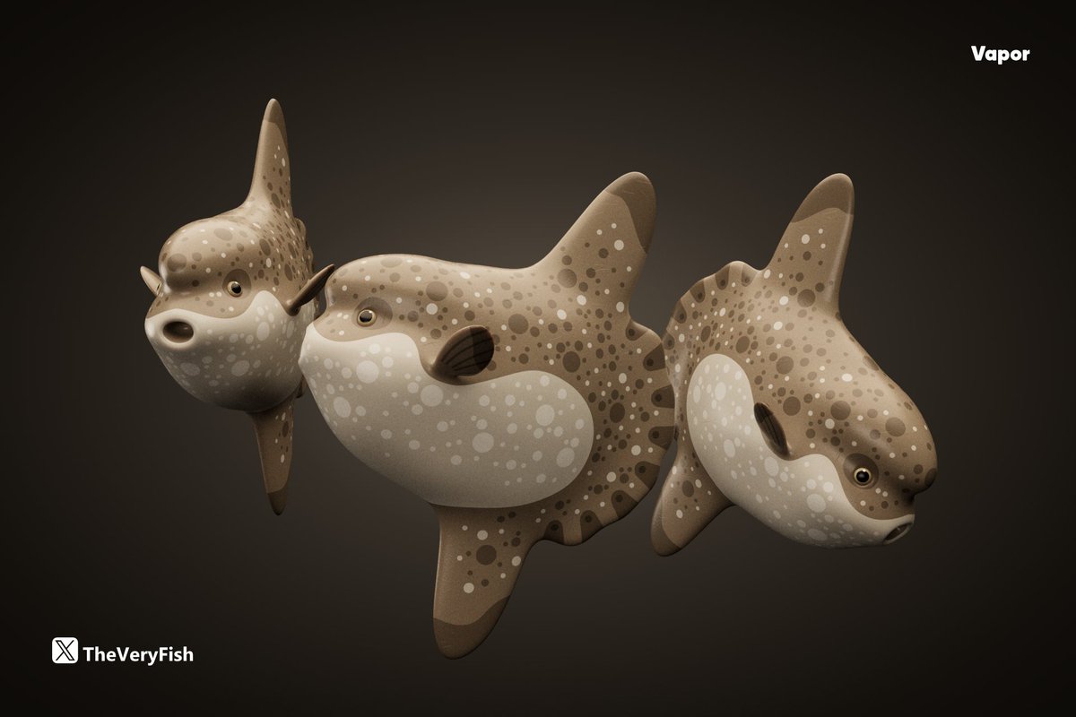 Sunfish are huge, chill and dumb.

It must be nice, to live suspended in a weightless blue world, munching on jellyfish and not paying taxes.

#ToyDesign #BathToy #MolaMola #Sunfish #Fish #ChaosCorona