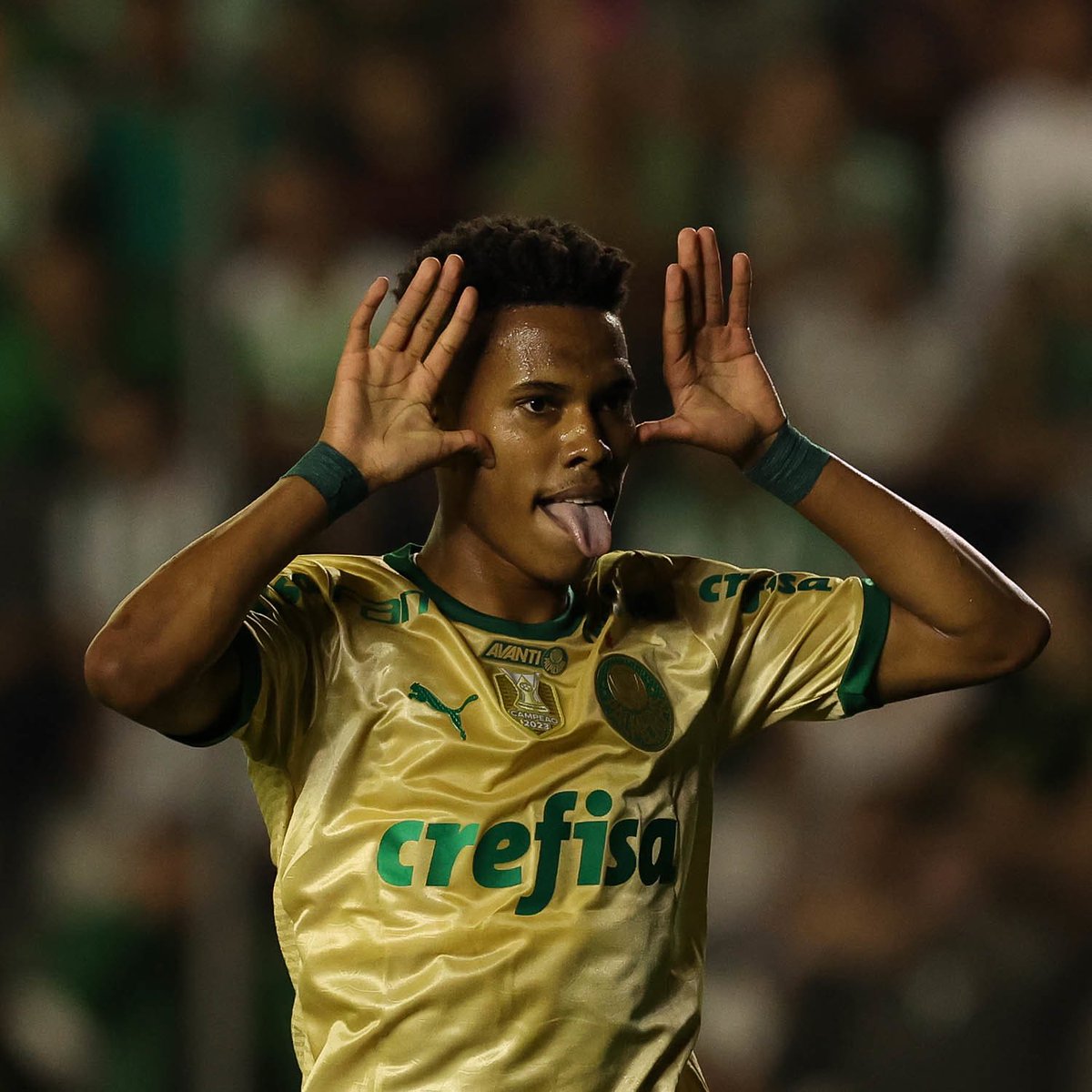 Gabriel Amorim tweet media