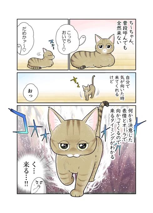 気まぐれ猫に心奪われがちな日々 