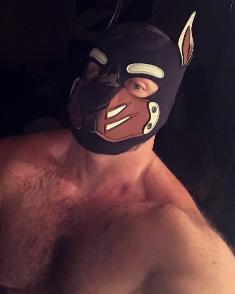 themusclepup's tweet photo. Rekt https://t.co/18QBAdANHQ