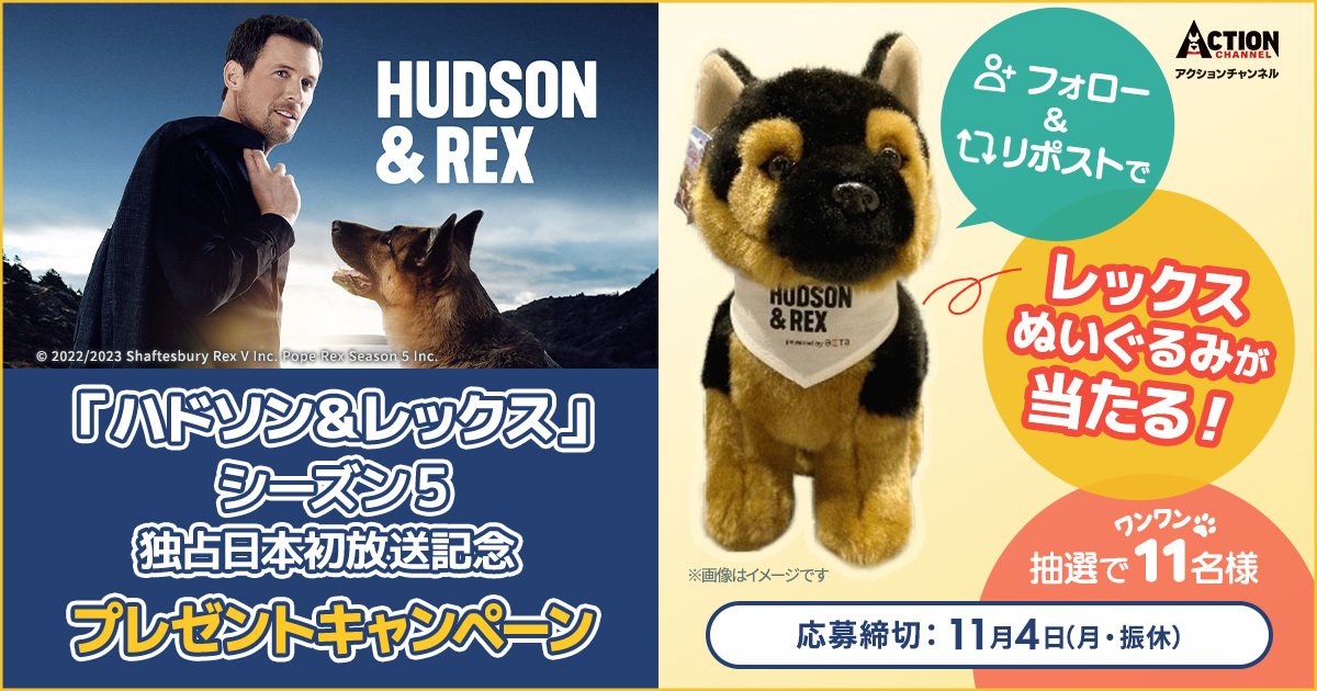 AXNJapan's tweet photo. ＼🐶#レックスシリーズだわん／

🎁「ハドソン＆レックス」シーズン5独占日本初放送記念プレゼントキャンペーン

👑大大大人気‼#レックスぬいぐるみ が当たるチャンス🥳💗

1⃣@AXNJapan をフォロー
2⃣この投稿をリポストして応募完了🙆
🔽詳細はコチラ🔽
🔗https://t.co/mDzqWln5Zh https://t.co/8mTCZppwp9