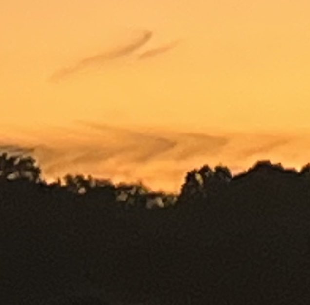 this was actually insane. liam’s tattoo showed up in the sky as soon as we let go of the lantern we all signed. he came by to see his dallas memorial