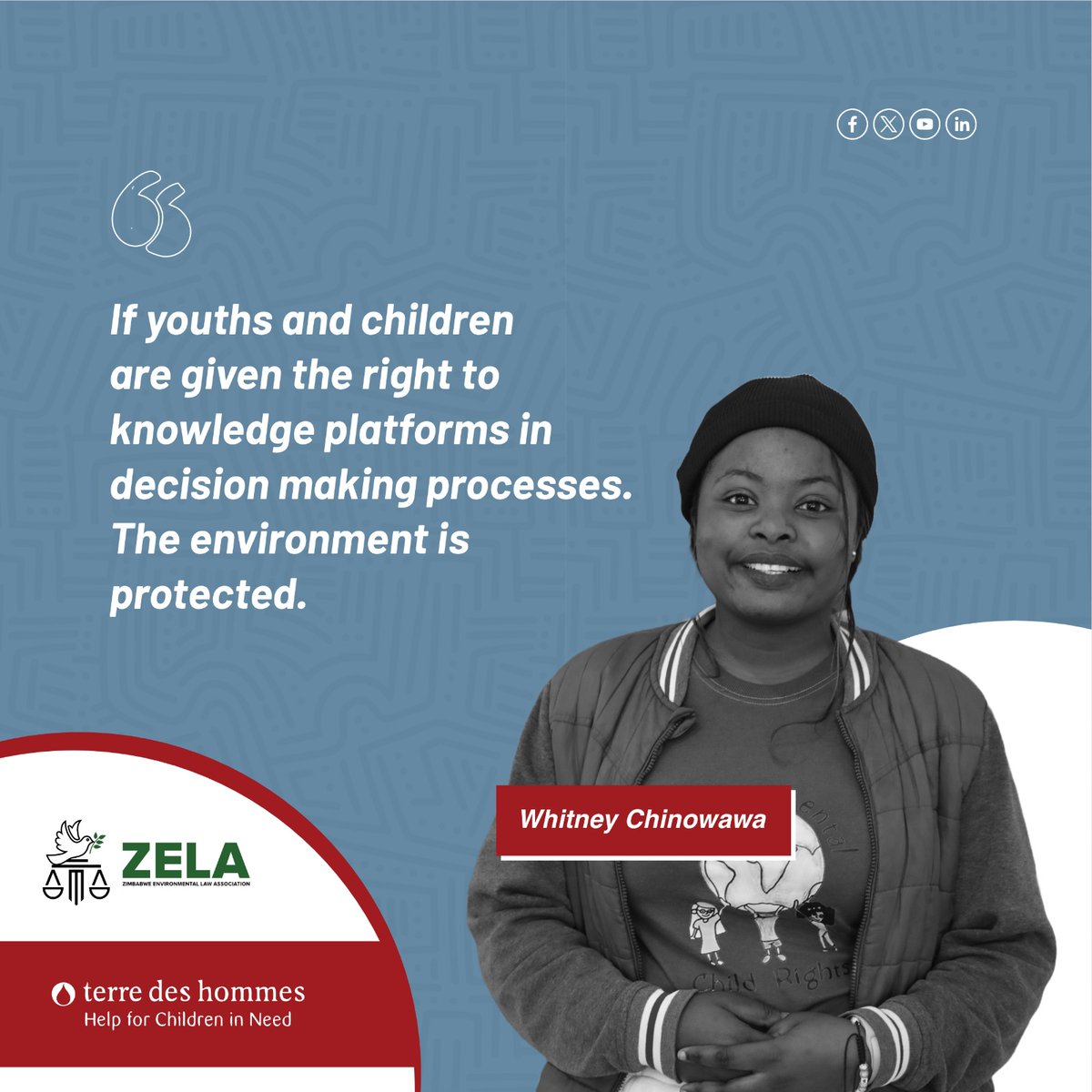 Zimbabwe Environmental Law Organisation (ZELO) tweet media
